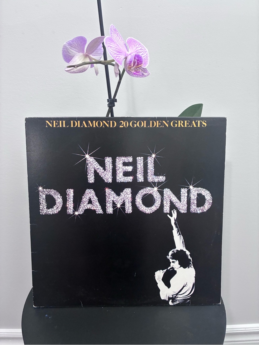 Neil Diamond 20 Golden Greats Vinyl LP - Black with Sparkle Text